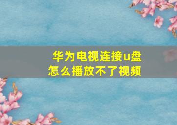 华为电视连接u盘怎么播放不了视频