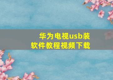 华为电视usb装软件教程视频下载