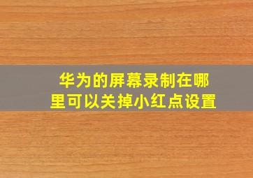 华为的屏幕录制在哪里可以关掉小红点设置