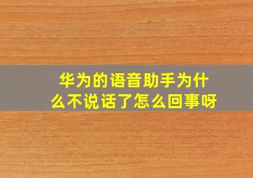 华为的语音助手为什么不说话了怎么回事呀