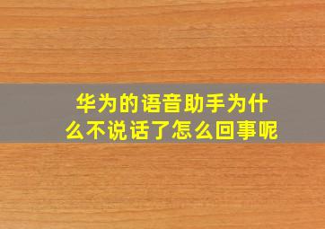 华为的语音助手为什么不说话了怎么回事呢