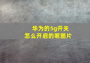 华为的5g开关怎么开启的呢图片