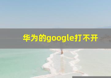 华为的google打不开