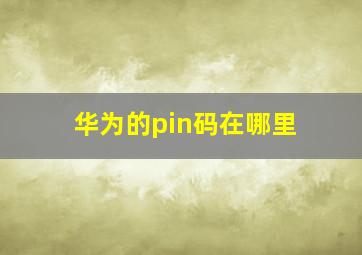 华为的pin码在哪里