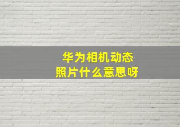 华为相机动态照片什么意思呀