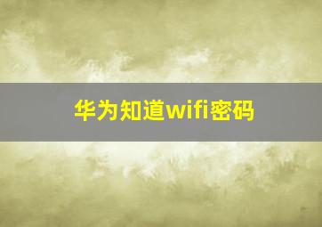 华为知道wifi密码