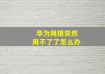 华为网络突然用不了了怎么办