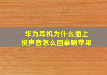 华为耳机为什么插上没声音怎么回事啊苹果