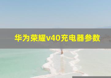 华为荣耀v40充电器参数