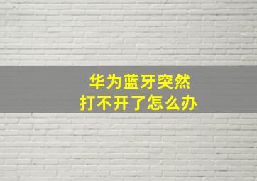 华为蓝牙突然打不开了怎么办