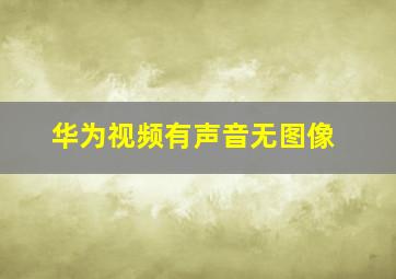 华为视频有声音无图像