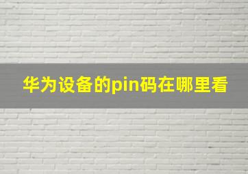 华为设备的pin码在哪里看