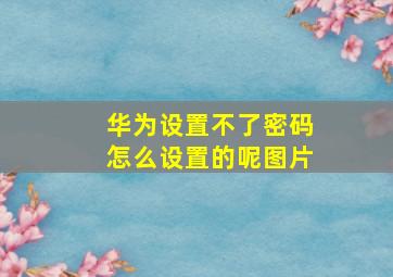 华为设置不了密码怎么设置的呢图片