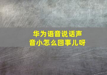 华为语音说话声音小怎么回事儿呀