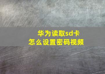 华为读取sd卡怎么设置密码视频