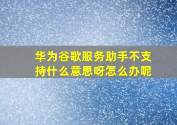 华为谷歌服务助手不支持什么意思呀怎么办呢