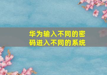 华为输入不同的密码进入不同的系统