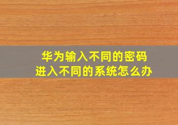 华为输入不同的密码进入不同的系统怎么办