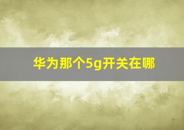 华为那个5g开关在哪