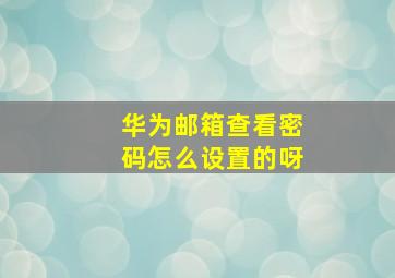 华为邮箱查看密码怎么设置的呀