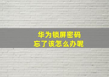 华为锁屏密码忘了该怎么办呢