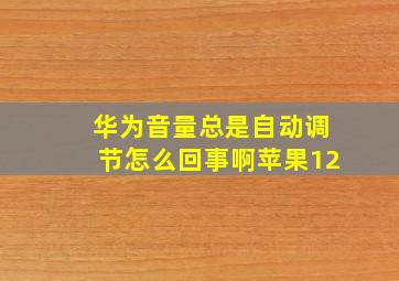 华为音量总是自动调节怎么回事啊苹果12