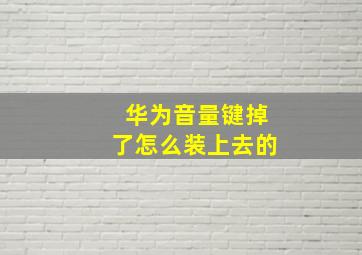 华为音量键掉了怎么装上去的