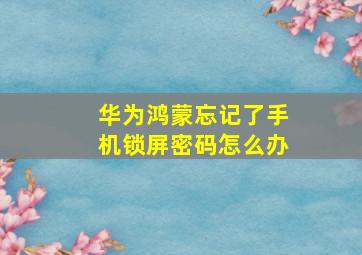 华为鸿蒙忘记了手机锁屏密码怎么办