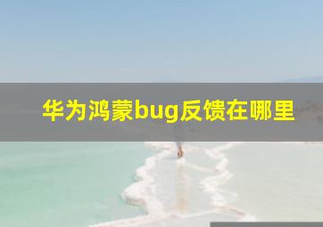 华为鸿蒙bug反馈在哪里