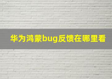 华为鸿蒙bug反馈在哪里看