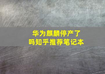 华为麒麟停产了吗知乎推荐笔记本