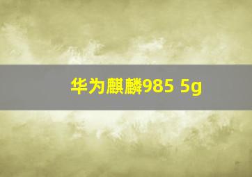 华为麒麟985 5g