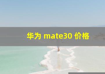 华为 mate30 价格