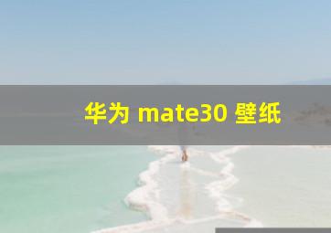 华为 mate30 壁纸