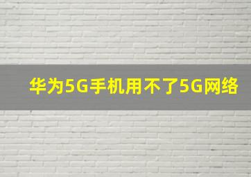 华为5G手机用不了5G网络