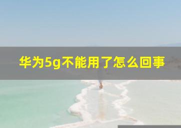 华为5g不能用了怎么回事