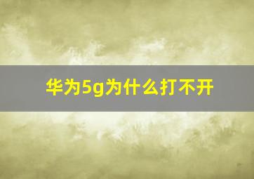 华为5g为什么打不开