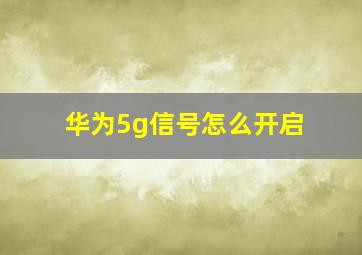 华为5g信号怎么开启