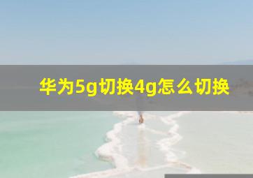 华为5g切换4g怎么切换