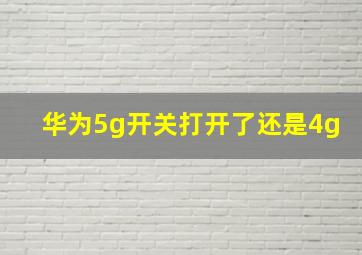 华为5g开关打开了还是4g