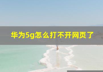 华为5g怎么打不开网页了