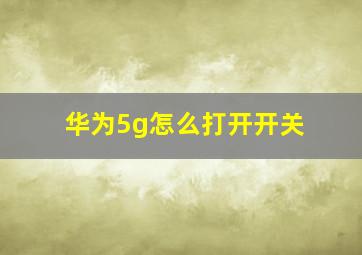 华为5g怎么打开开关