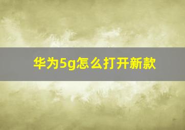 华为5g怎么打开新款