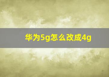 华为5g怎么改成4g