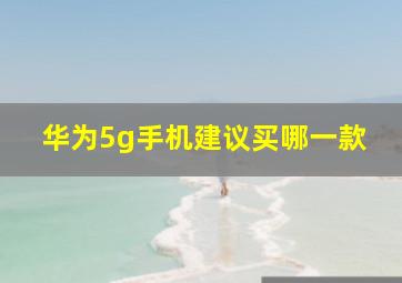 华为5g手机建议买哪一款