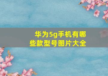 华为5g手机有哪些款型号图片大全