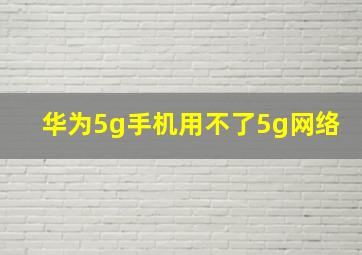 华为5g手机用不了5g网络