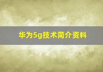 华为5g技术简介资料