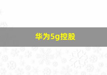 华为5g控股