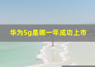 华为5g是哪一年成功上市